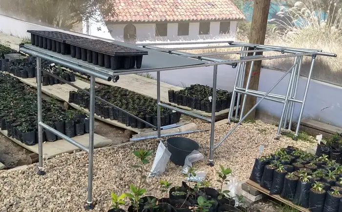 Bancos de germinación sin invernadero