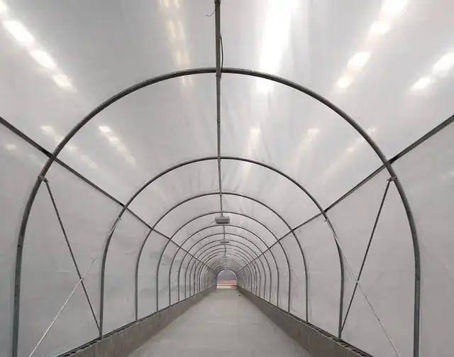 Invernadero tipo túnel