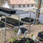 Bancos de Germinacion